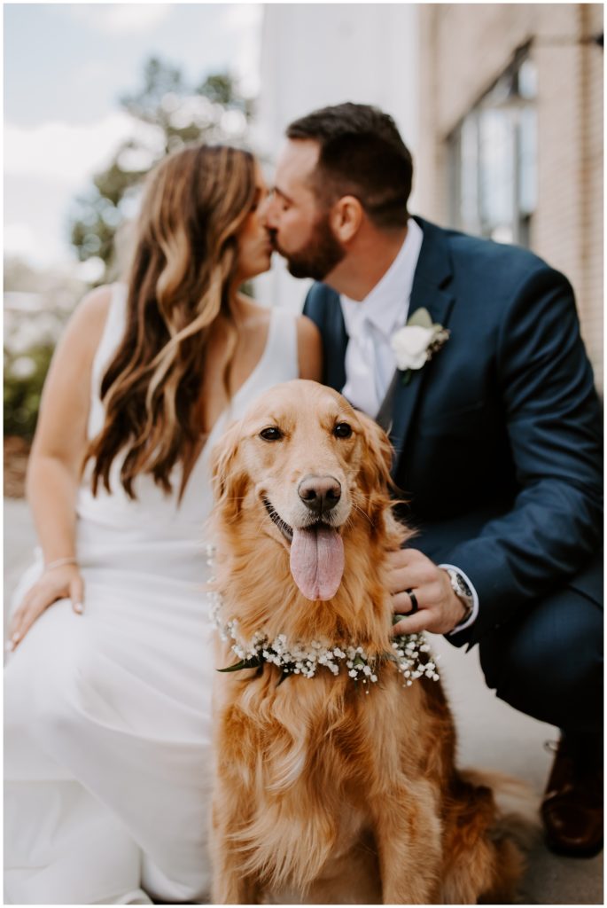 Bride and Groom with dog